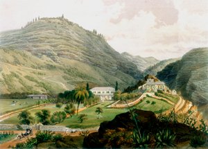 The Briars, St. Helena, begin 19e eeuw, 1851 door Unbekannt