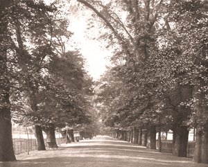 De brede wandeling, Oxford, 1894