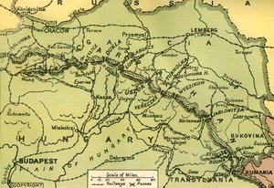 De Karpatenpassen, 1919