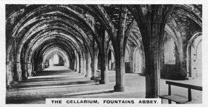 De Cellarium, Fountains Abbey, Yorkshire