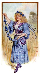 De korenbloem, 1899