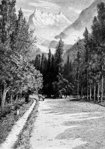 De Dent du Midi vanuit de Vallei van de Rhône, 1900 door Unbekannt