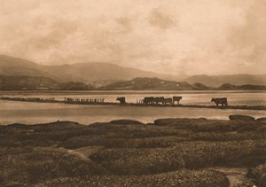 De Dovey bij Ynyslas, 1902 door Unbekannt