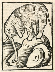 De Olifant