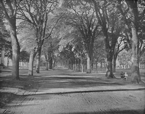 The Elms, New Haven, Conn., ca. 1897