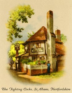 De vechtende hanen, St. Albans, Hertfordshire, 1936