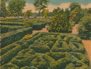 De Bloementuin, algemeen overzicht, 1946 door Unbekannt
