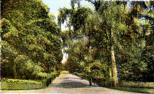 De Bloemenwandeling, Kensington Gardens, Londen