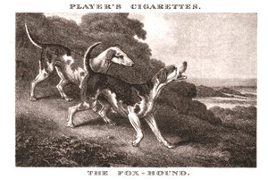 De Foxhound