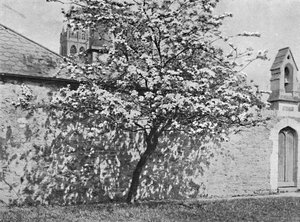 De Glastonbury Doorn, 1902