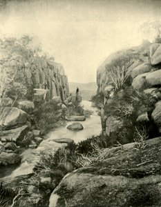 De kloof, Buffalo Falls, Victoriaanse Alpen, 1901