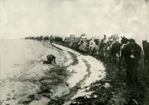 De grote Servische terugtocht, 1919 door Unbekannt