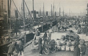 Het haringseizoen in volle gang, 1937