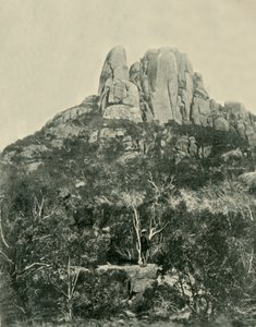 De Bult, Buffalo Mountains, 1901 door Unbekannt
