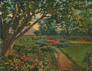 De Moestuin, 1946