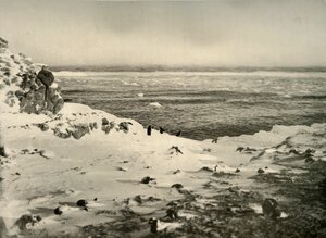 De laatste van de pinguïns net voor hun migratie in maart, ca. 1908, 1909 door Unbekannt