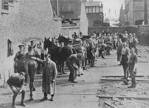 Het Nieuwe Leger in training op de Hoefsmederijschool, 1915 door Unbekannt