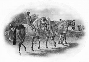 De volgende race, 19e eeuw, 1911