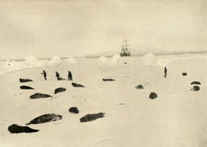 De Nimrod bij Pram Point op 4 maart 1909 door Unbekannt