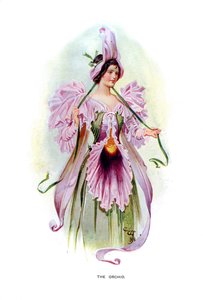 De orchidee, 1899