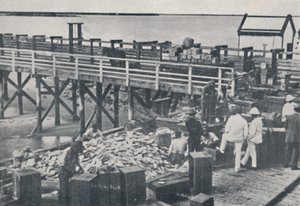 De Parelvisserij - Inpakken van Schelpen door Unbekannt