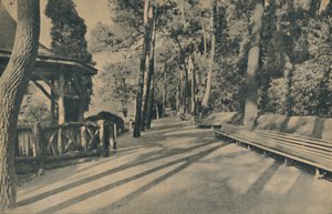 De dennenwandeling, 1929