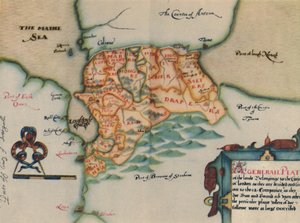 De plantage van Ulster, 17e eeuw, 1948 door Unbekannt