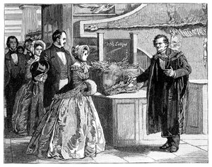 De koningin in het Woodwardian Museum, c. 1850s, 1900 door Unbekannt