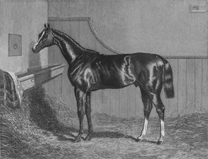 De Rt. Hon. De Graaf van Lichfields Elis. Winnaar van de St. Leger 1836, 1911 door Unbekannt