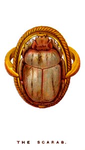 De scarabee, 1923 door Unbekannt