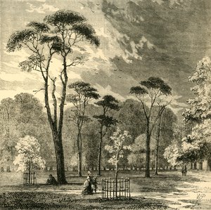 De Schotse Den, Kensington Gardens, ca. 1876 door Unbekannt