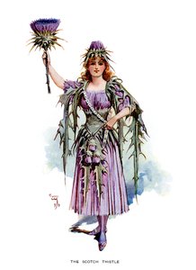 De Schotse distel, 1899
