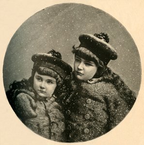 De Kerstboom van de Sneeuwvogels, 1883 door Unbekannt