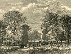 De Southampton Road