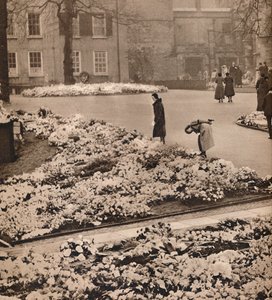 De staatsbegrafenis van koning George V in Windsor: herdenkingskransen door Unbekannt