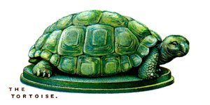De Schildpad, 1923 door Unbekannt
