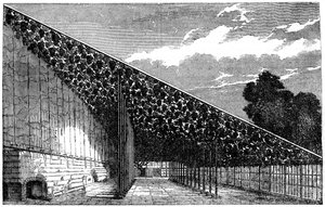 De Vinery in Hampton Court, 19e eeuw door Unbekannt