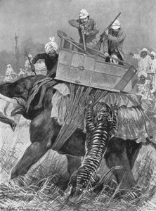 Het bezoek van de Prins van Wales aan India, 1876: De prinselijke olifant aangevallen door een tijger, 1901