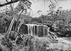 De huilende rots bij Wentworth Falls, Blue Mountains, ca. 1900 door Unbekannt