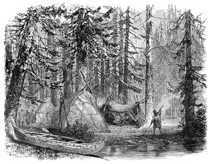Het Bos voor de Emigrant, 1900