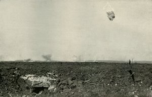 De Wolbeer, 1919 door Unbekannt
