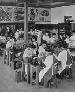 Het hoger onderwijs van vrouwen in Japan, 1910