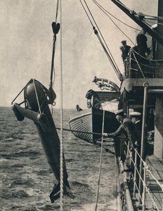 De haai-vormige paravaan, 1943