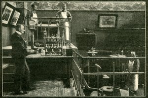 Er zijn geen gifschrikken in de heerschappijen van de tsaar, 1901 door Unbekannt