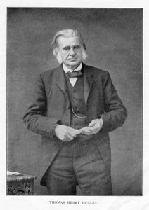 Thomas Henry Huxley, Britse bioloog door Unbekannt