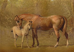 Volbloed Merrie en Veulen, ca. 1879