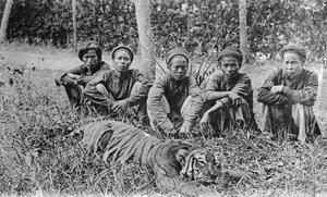 Tijgerjagers, Tonkin, Vietnam, 20e eeuw