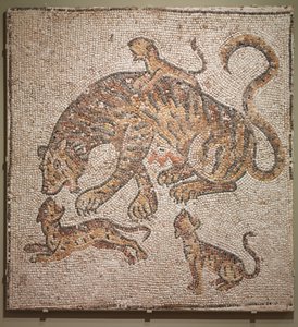 Tijgerin en Welpen, 300s
