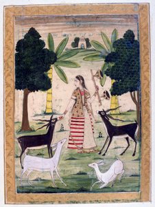 Todi Ragini, Ragamala Album, School van Rajasthan, 19e eeuw door Unbekannt