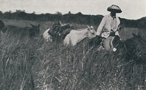 Reizen op de Pampas, 1916
